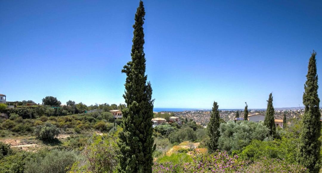 Photo of Others in Aphrodite Hills