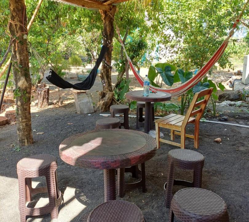 Photo of Others in Ometepe Island