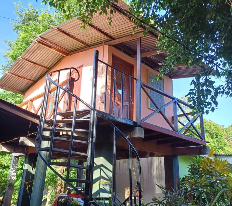 Photo of Others in Ometepe Island