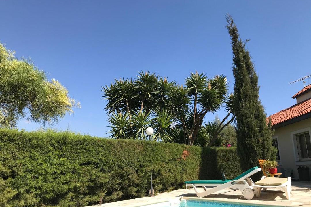 Photo of Others in Pissouri