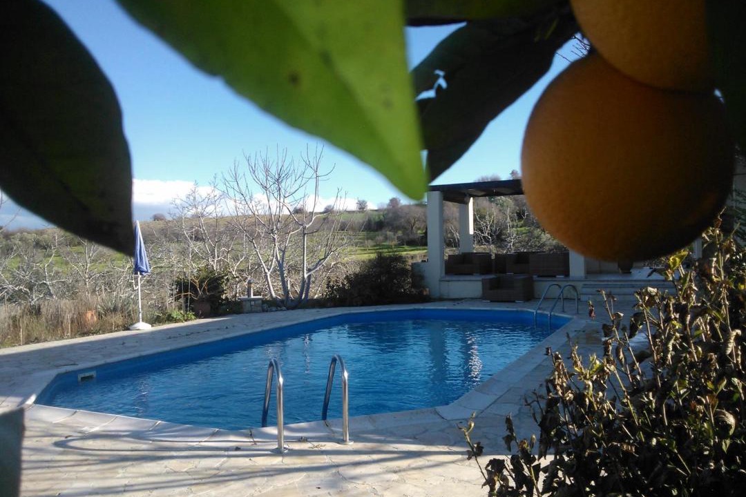 Photo of Others in Pano Akourdalia