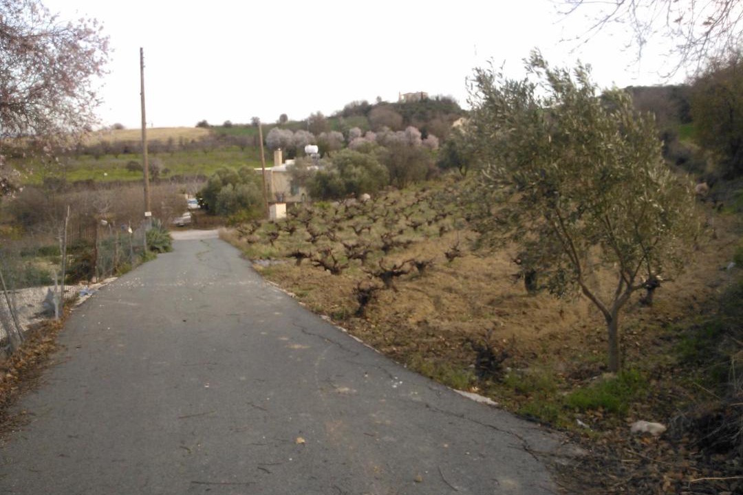 Photo of Others in Pano Akourdalia