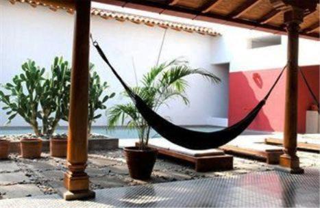 Photo of Others in Granada