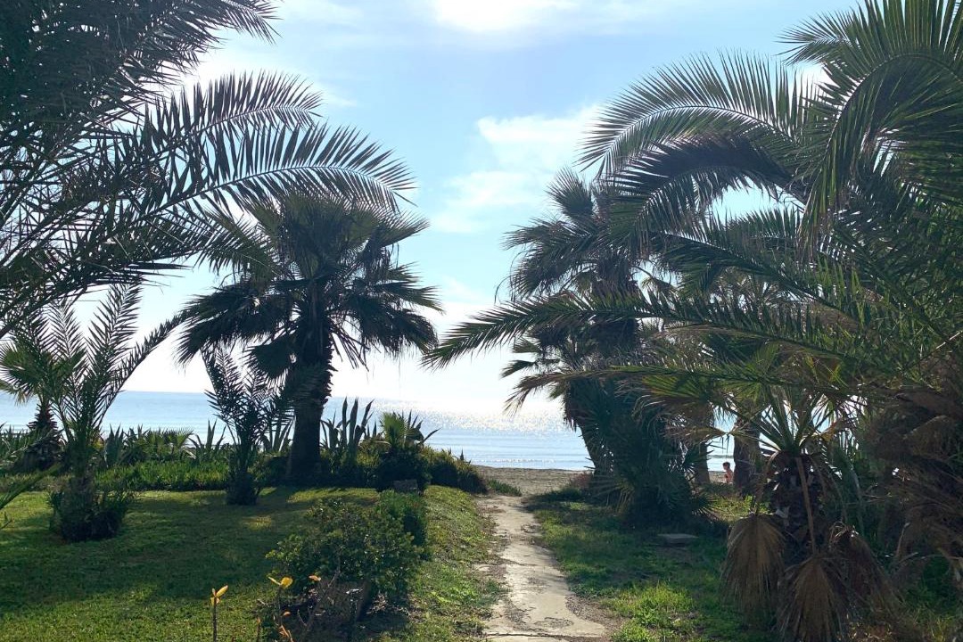 Photo of Others in Pyla