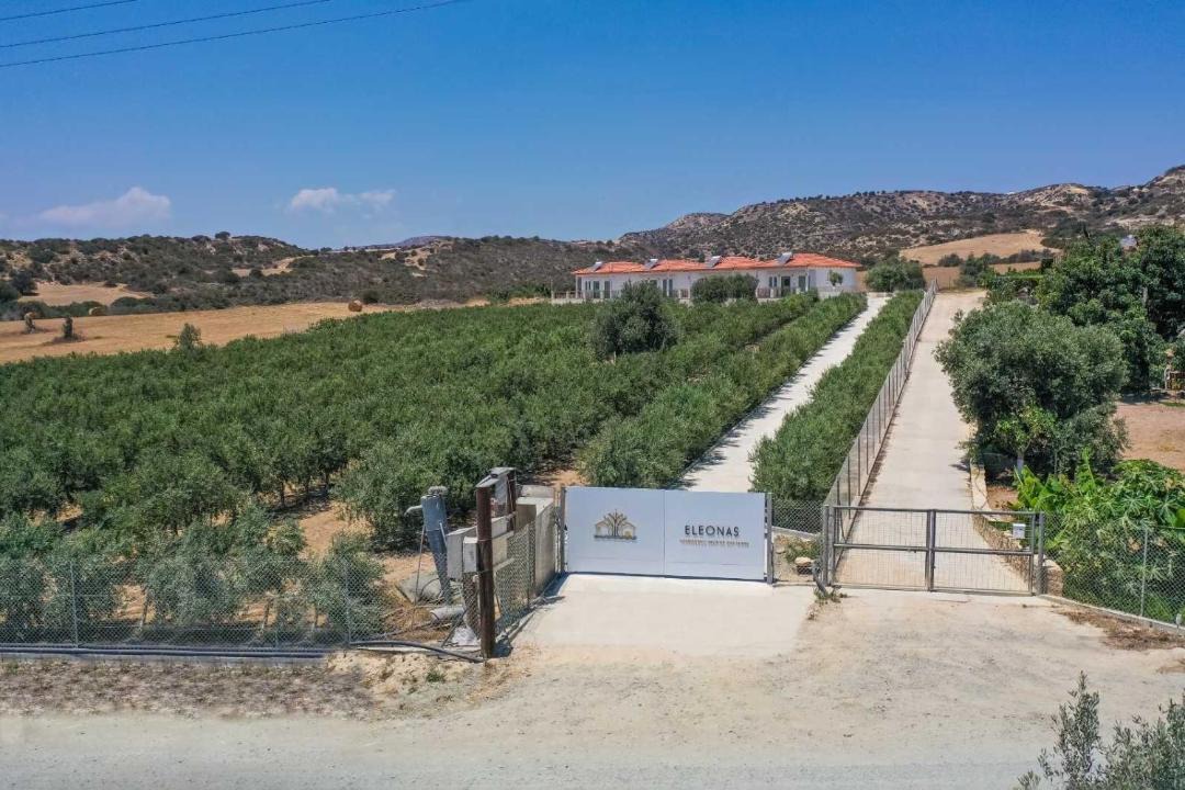 Photo of Others in Agios Theodoros