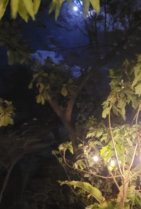 Photo of Others in Ometepe Island