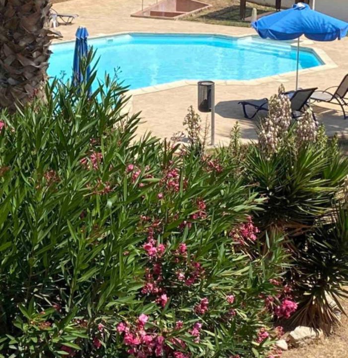 Photo of Others in Peyia Town
