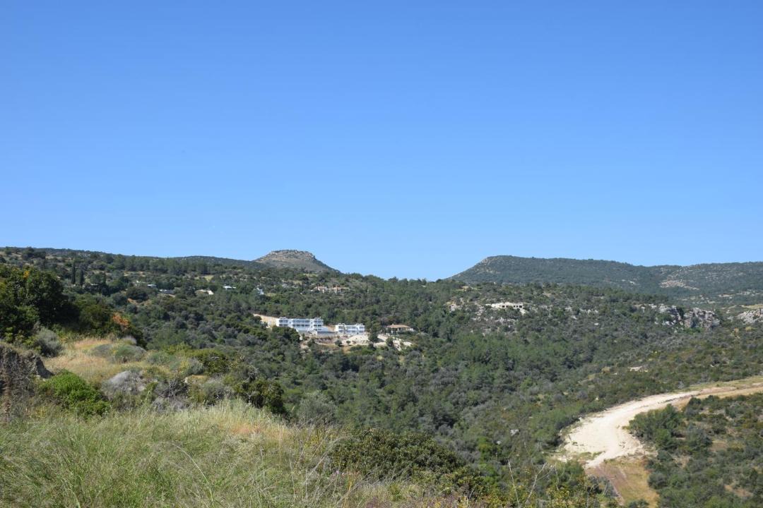 Photo of Others in Neo Chorio