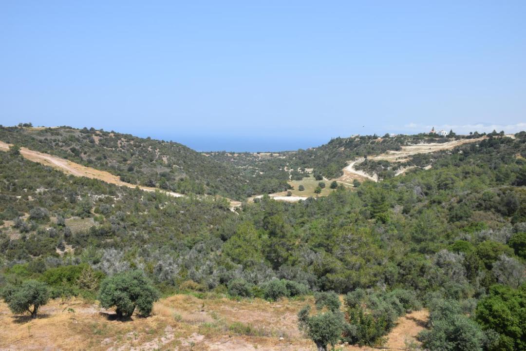 Photo of Others in Neo Chorio