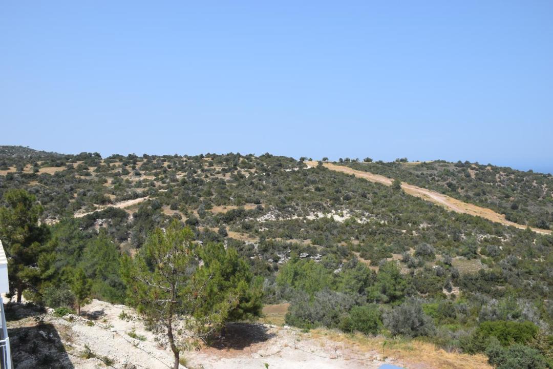 Photo of Others in Neo Chorio