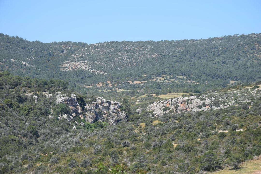 Photo of Others in Neo Chorio