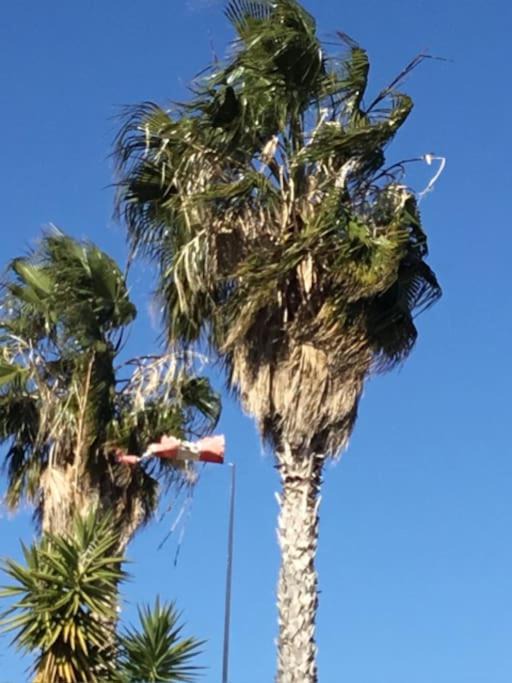Photo of Others in Pissouri