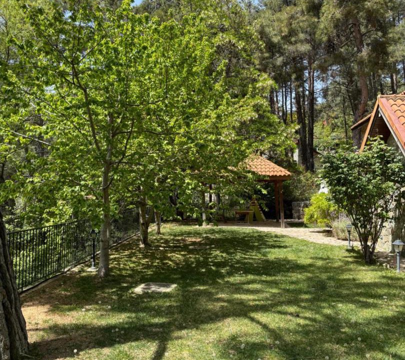 Photo of Others in Platres