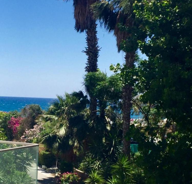 Photo of Others in Agios Tychon