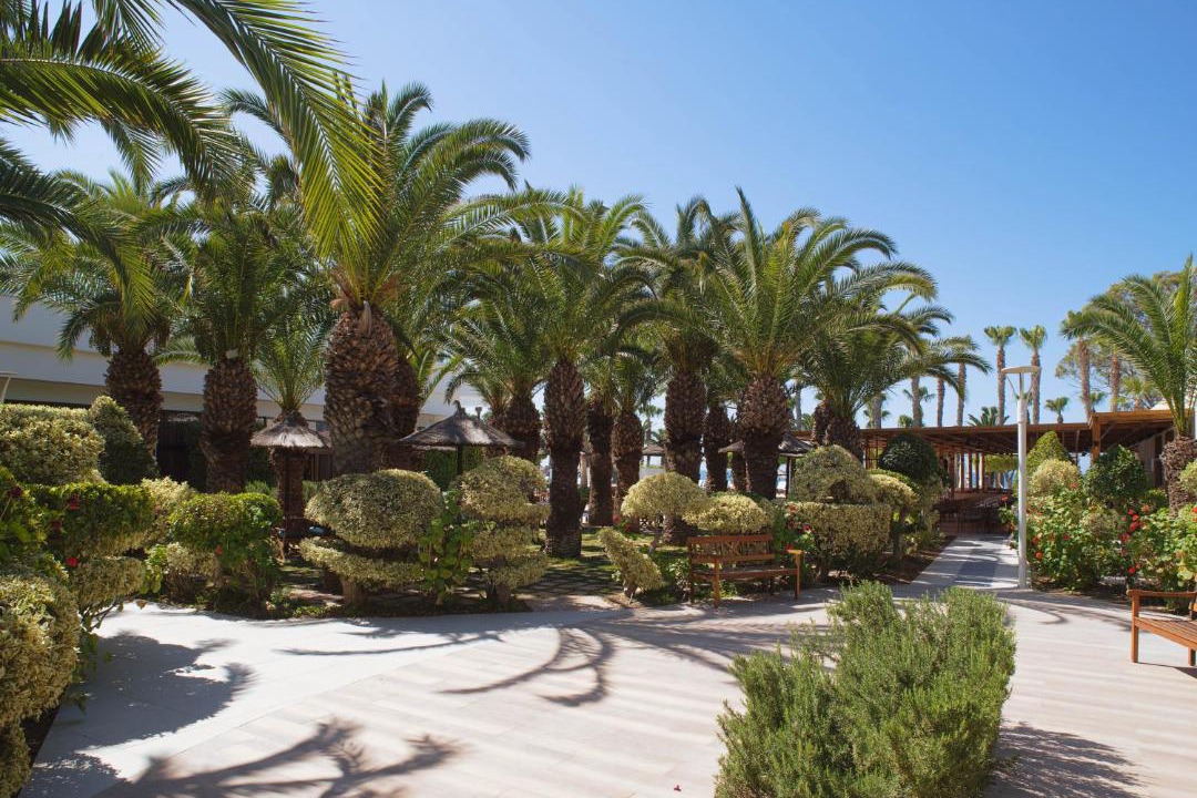 Photo of Others in Limassol