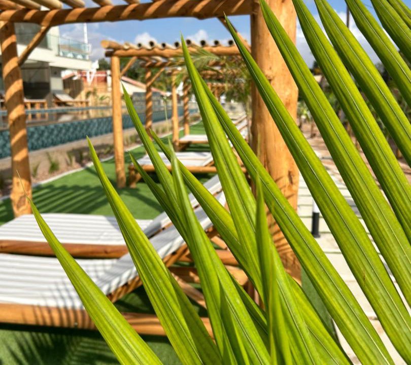 Photo of Others in Protaras