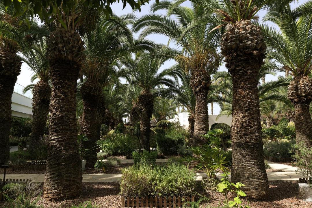 Photo of Others in Limassol