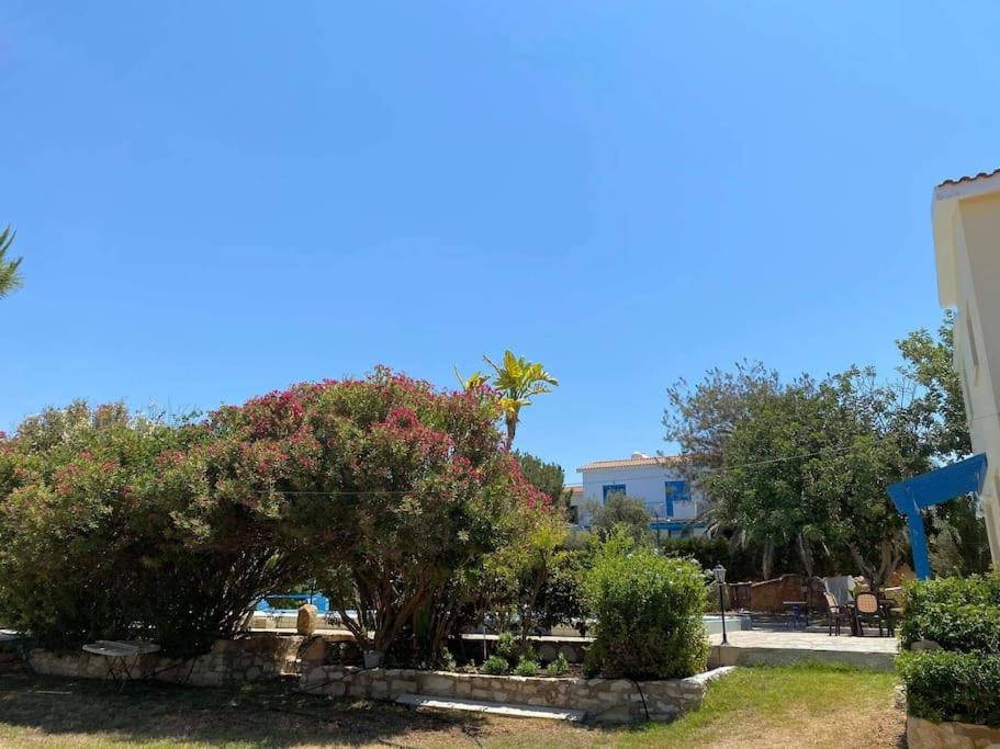Photo of Others in Agios Georgios Pegeias