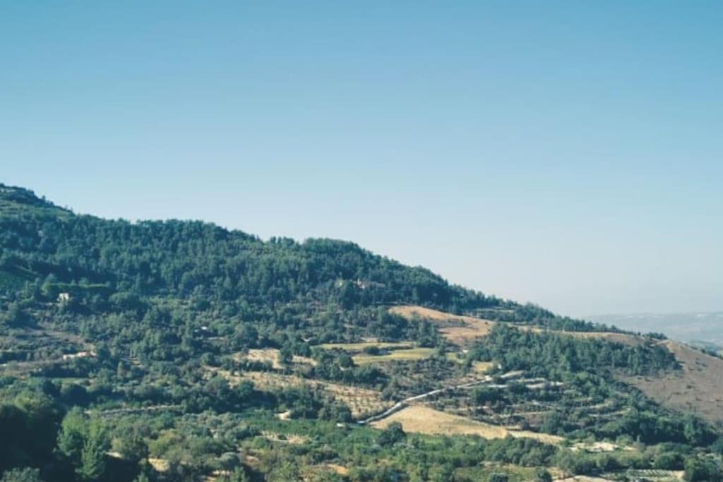 Photo of Others in Panagia