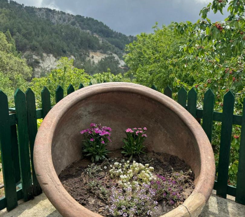 Photo of Outdoor in Vasa Koilaniou