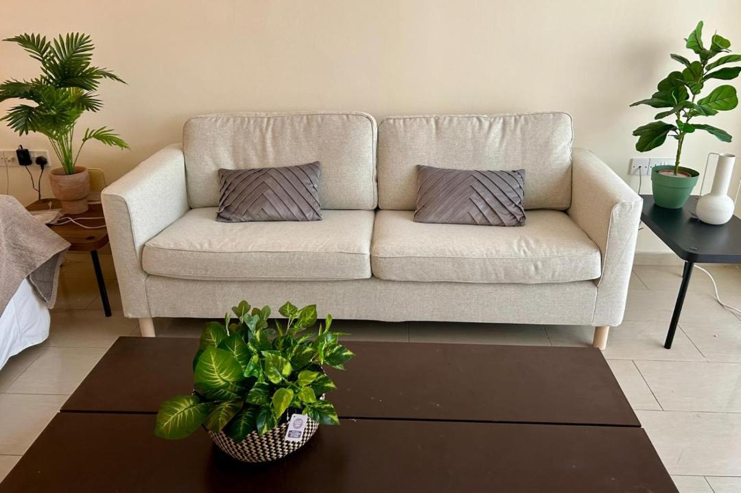 Photo of Livingroom in Timi