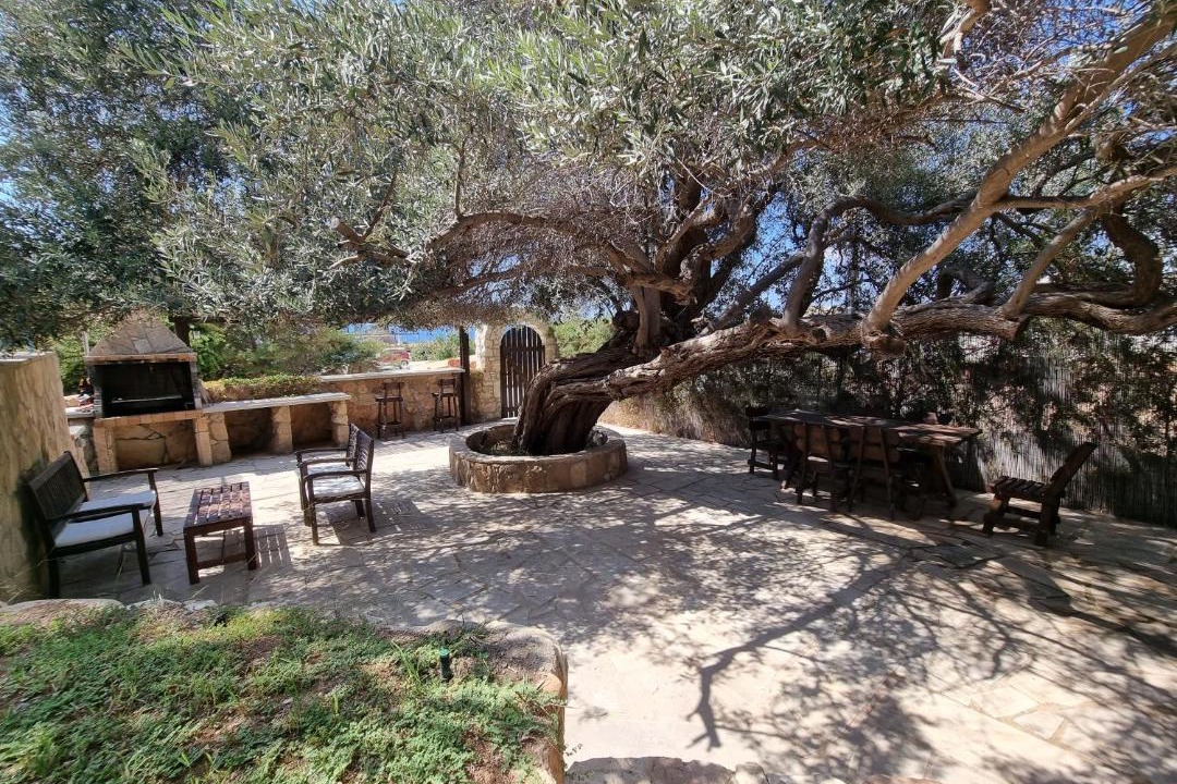 Photo of Others in Agios Georgios Pegeias