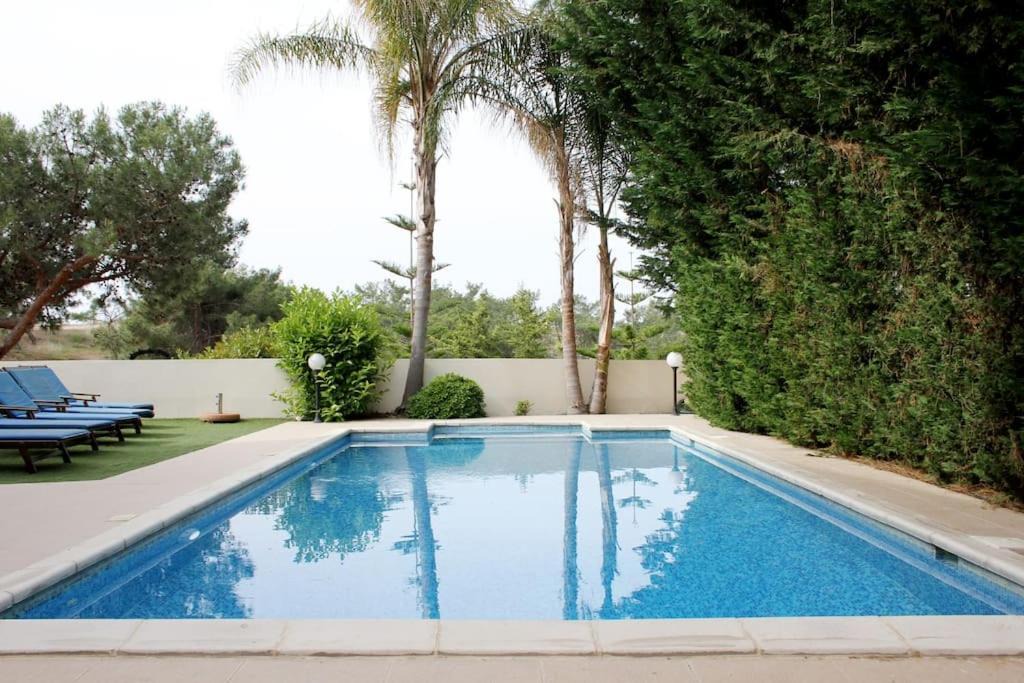 Photo of Others in Pissouri