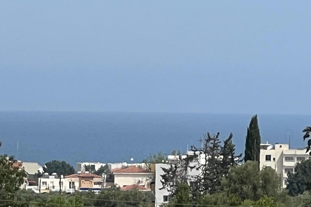 Photo of Others in Polis