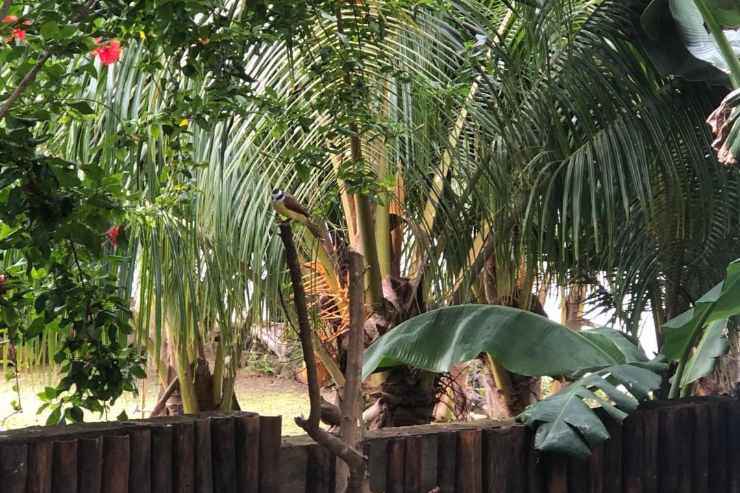 Photo of Others in Aserradores