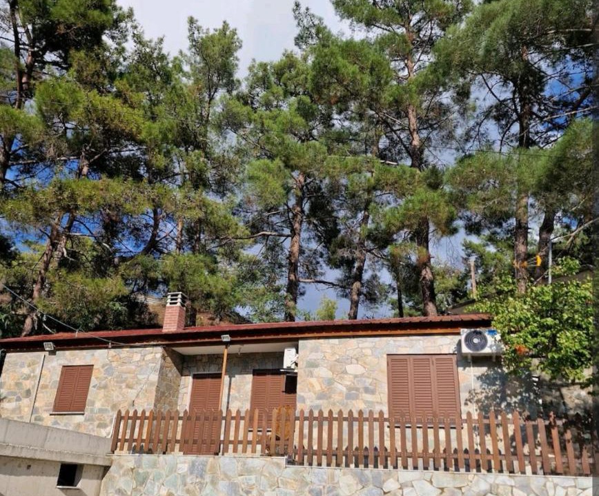 Photo of Others in Platres