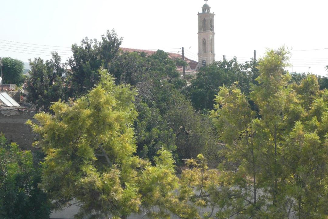 Photo of Others in Maroni
