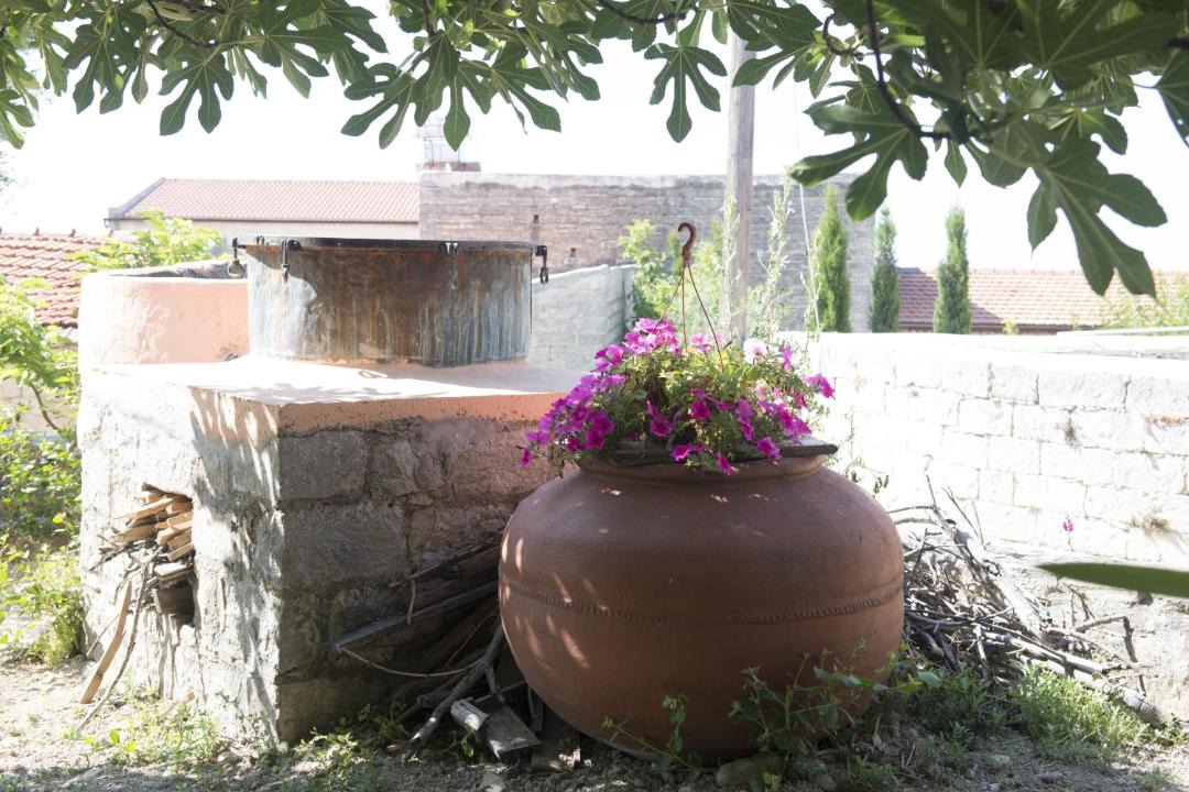 Photo of Others in Pachna