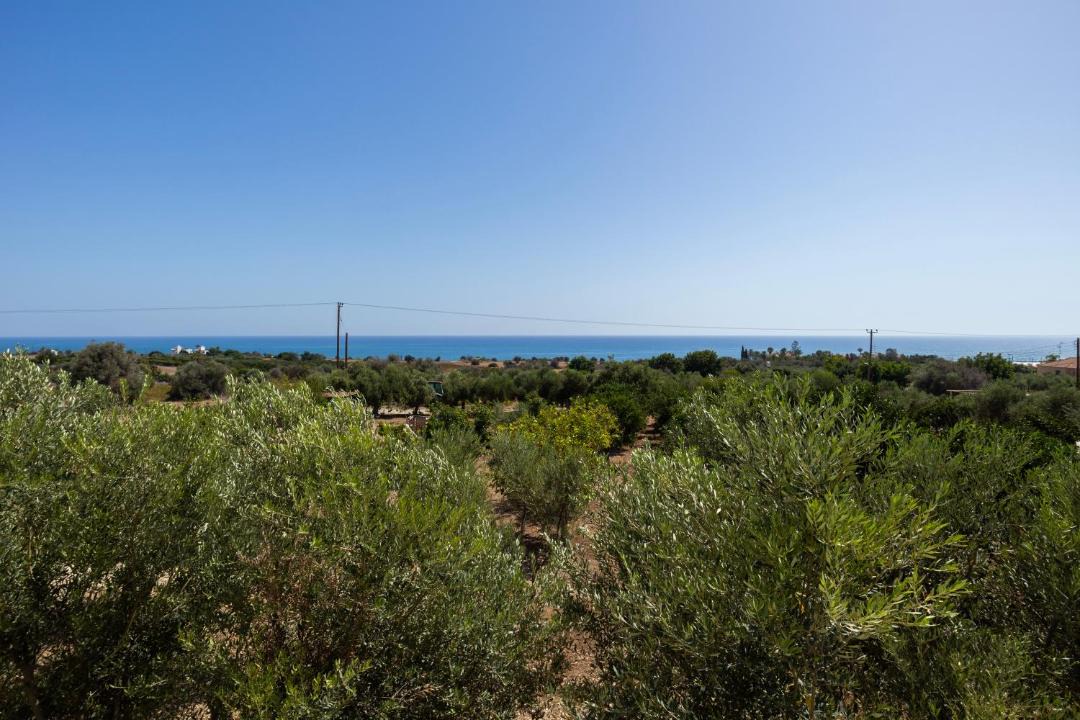 Photo of Others in Agios Theodoros