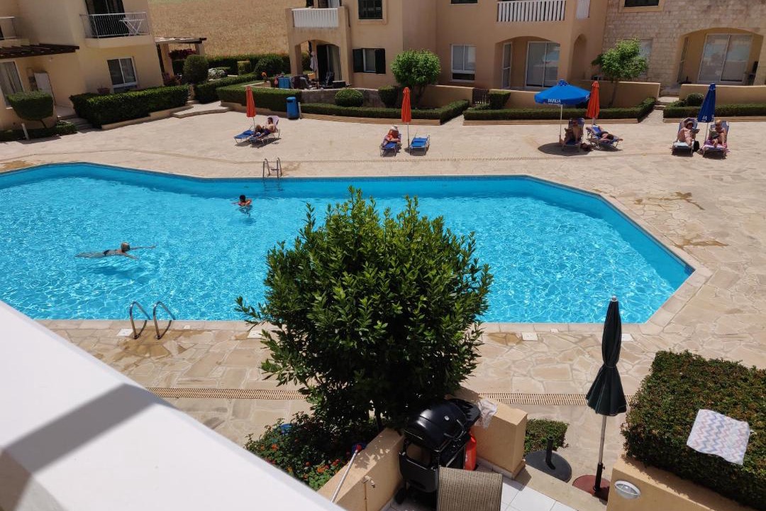 Photo of Others in Polis