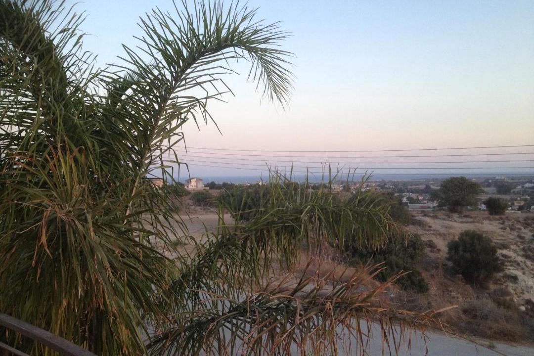 Photo of Outdoor in Mazotos