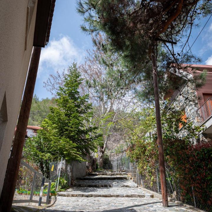Photo of Others in Platres