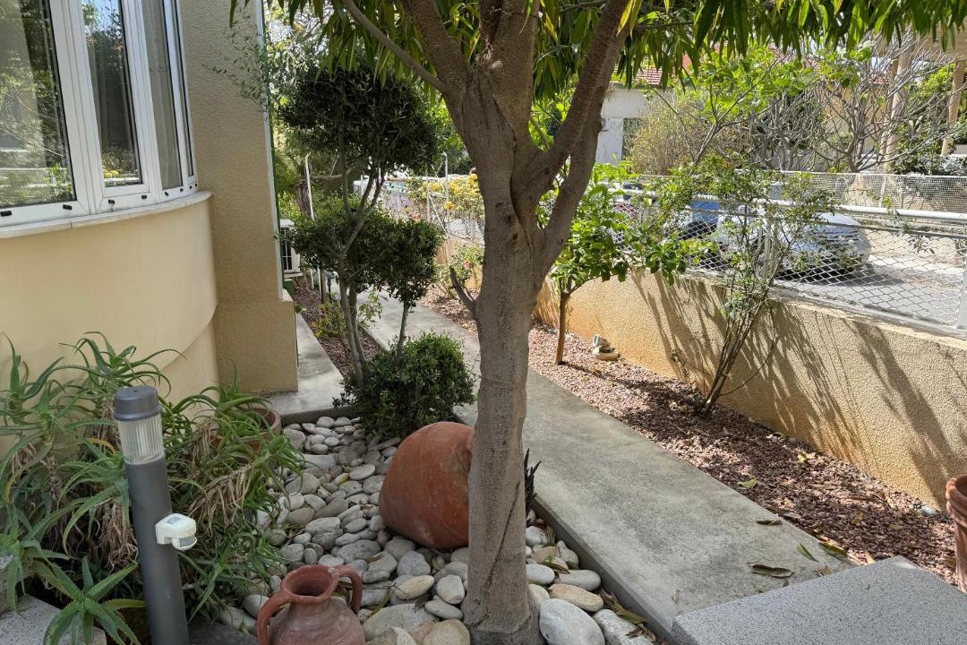Photo of Others in Limassol