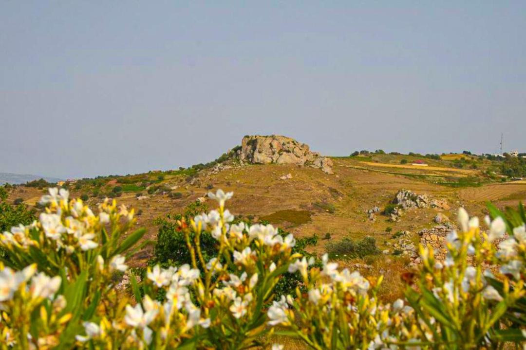 Photo of Others in Lara
