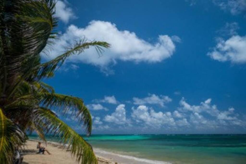 Photo of Others in Little Corn Island