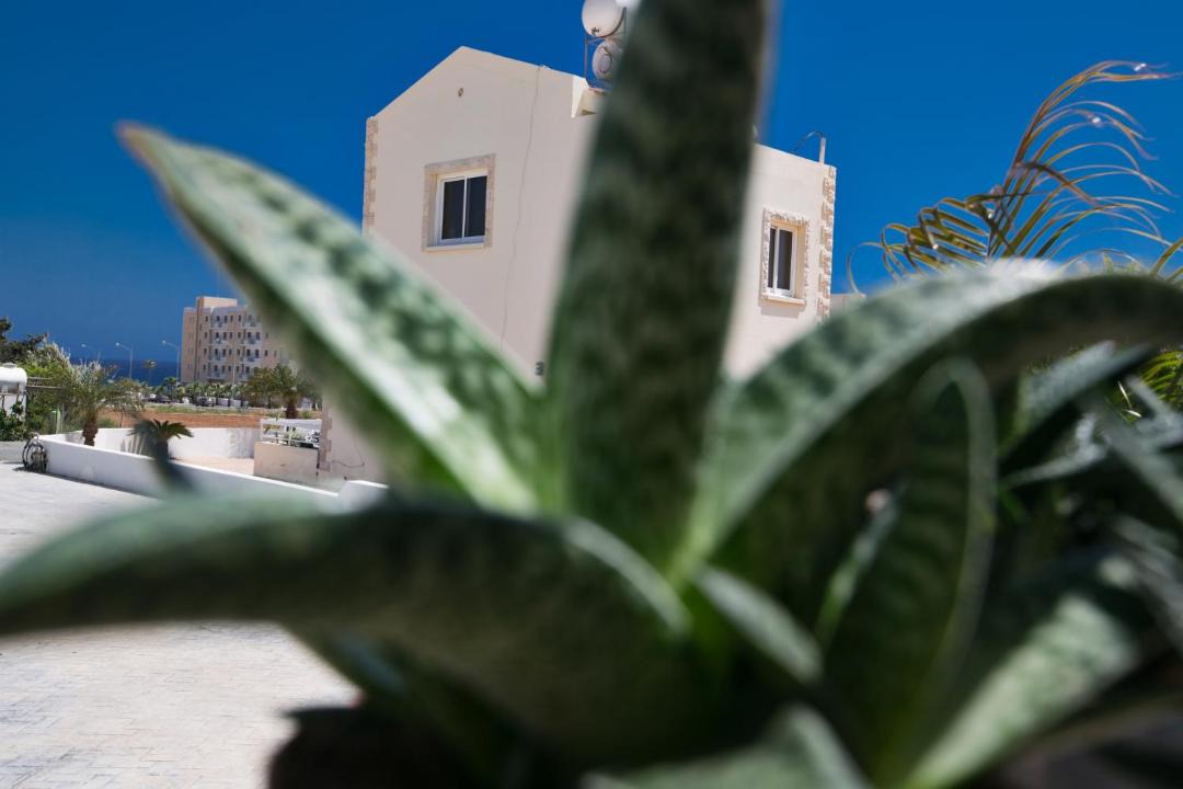 Photo of Others in Protaras