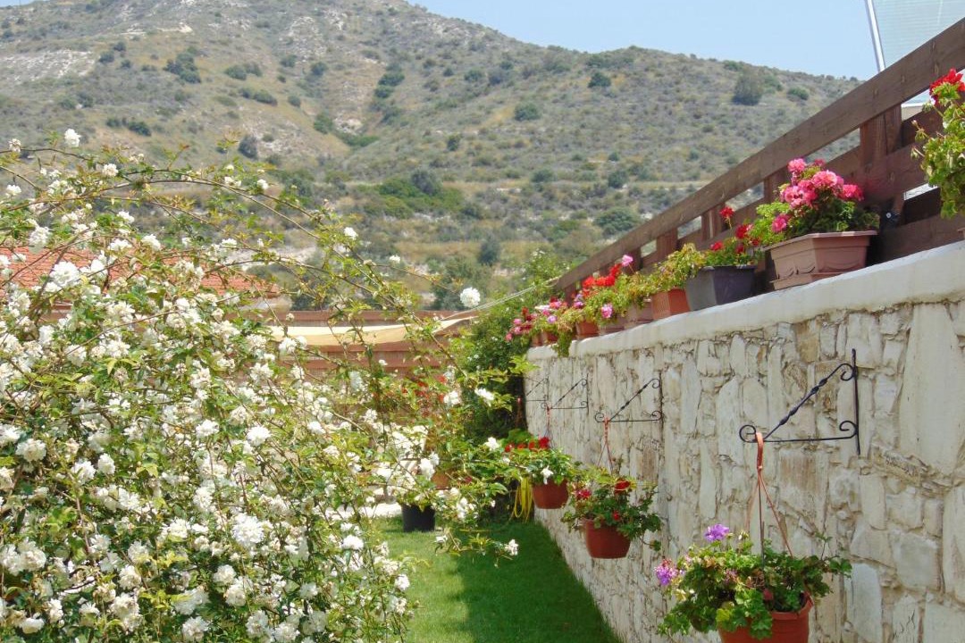 Photo of Others in Kalavasos