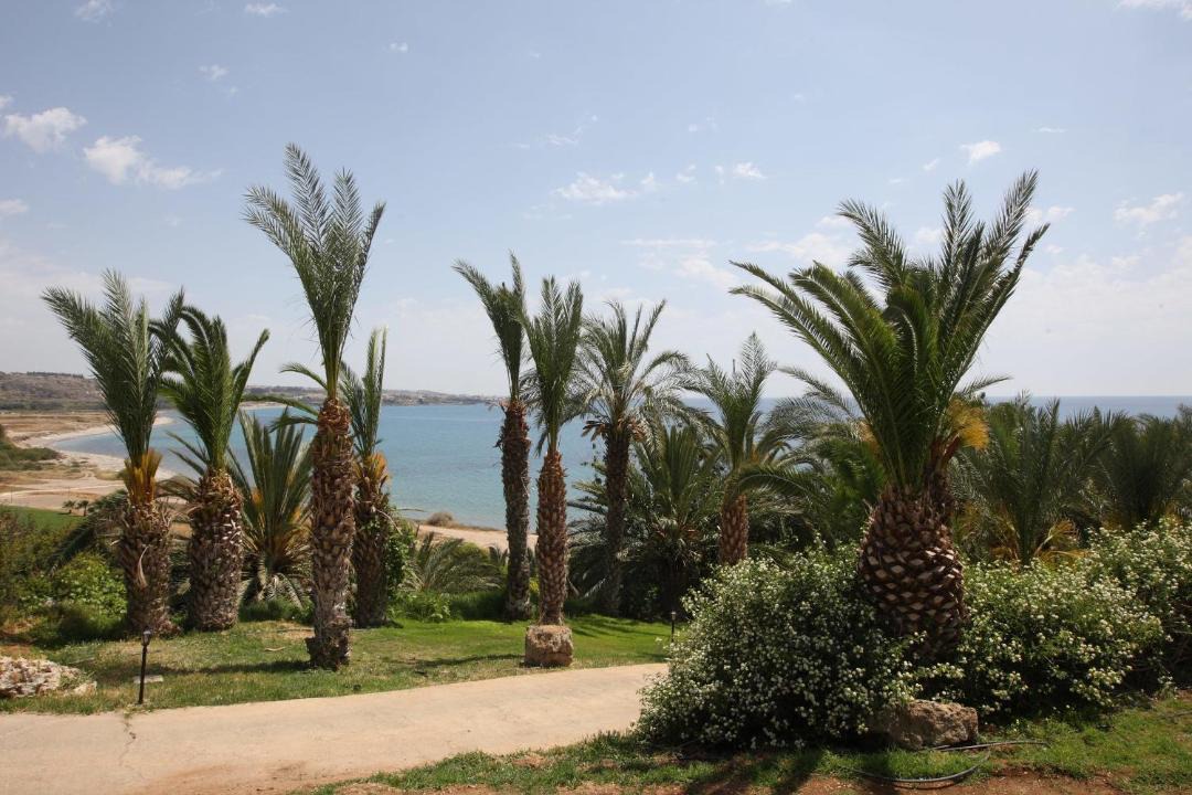 Photo of Others in Pegeia