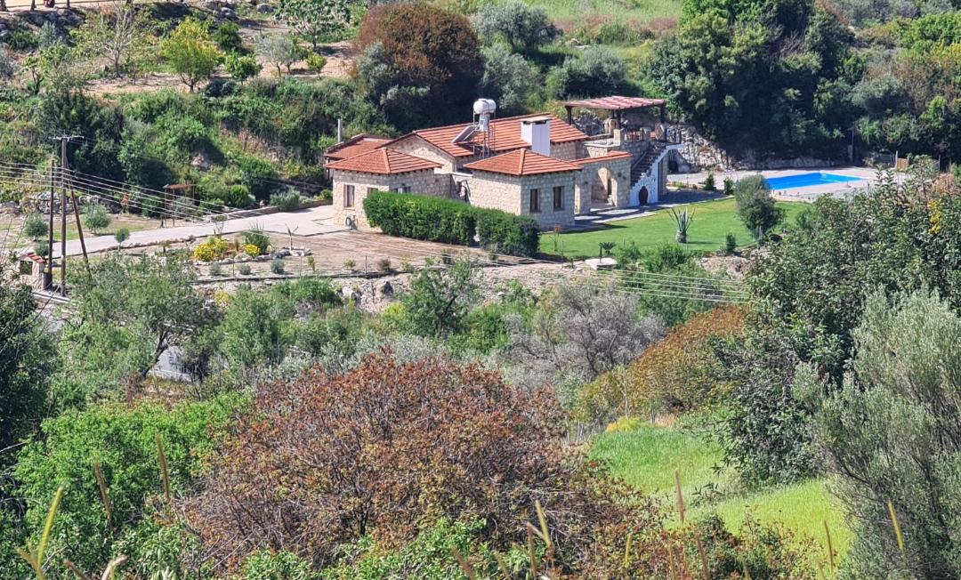 Photo of Others in Peristerona