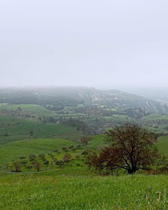 Photo of Others in Thrinia