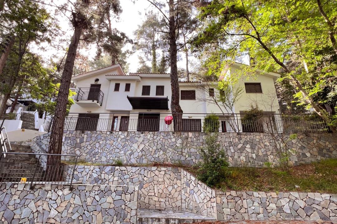 Photo of Others in Platres