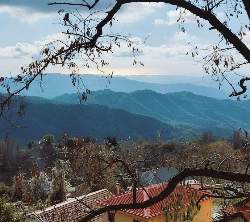 Photo of Others in Prodromos