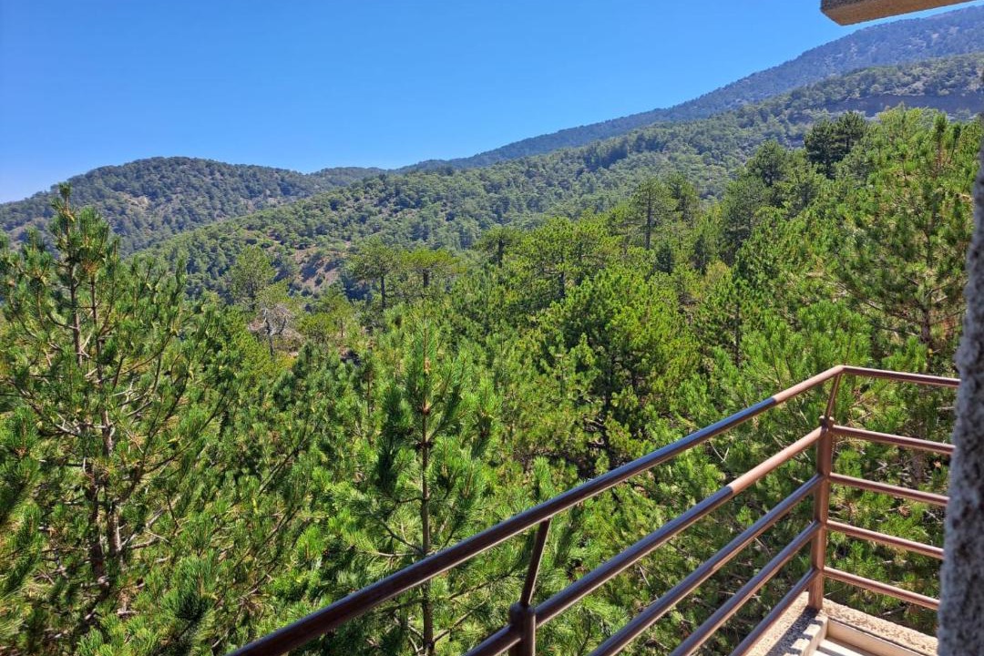 Photo of Others in Pedhoulas