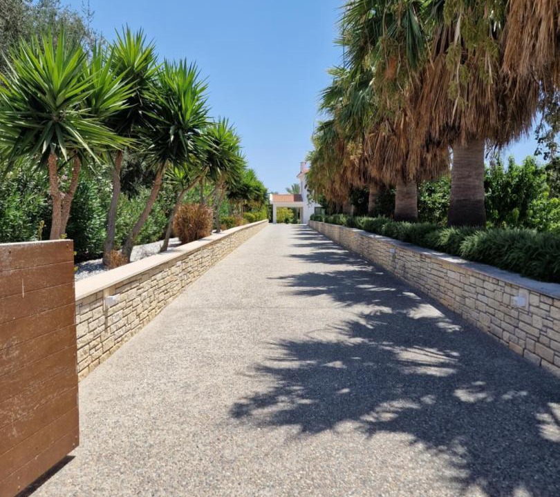 Photo of Outdoor in Pegeia