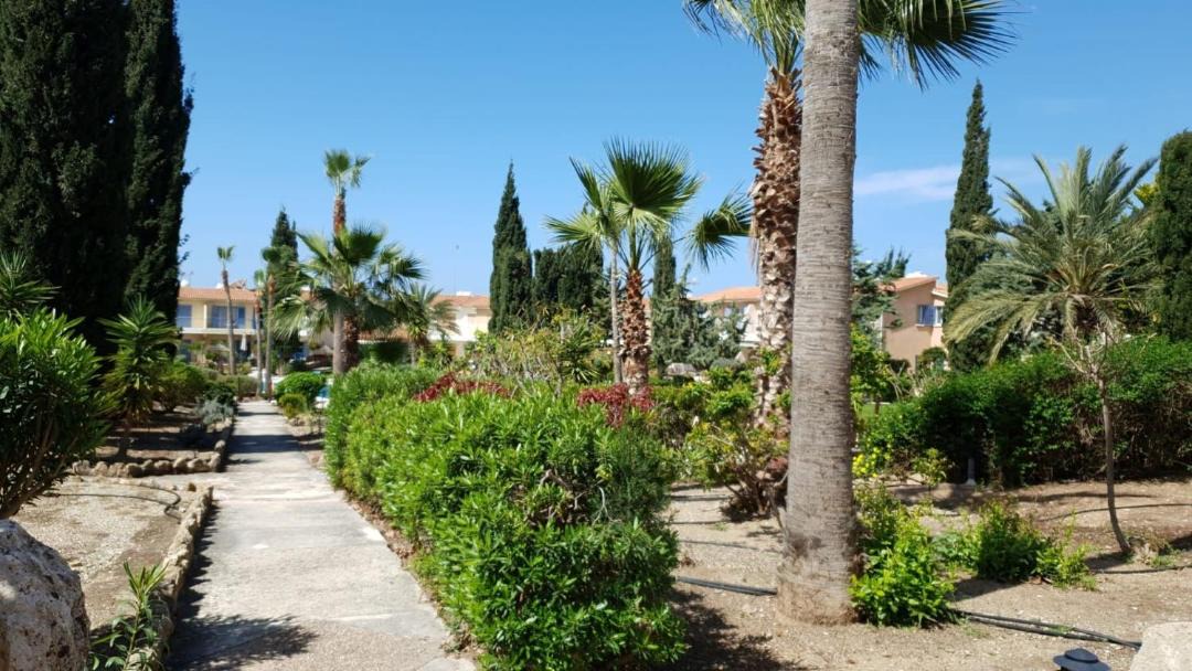 Photo of Others in Paphos