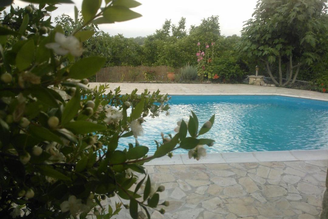 Photo of Others in Pano Akourdalia